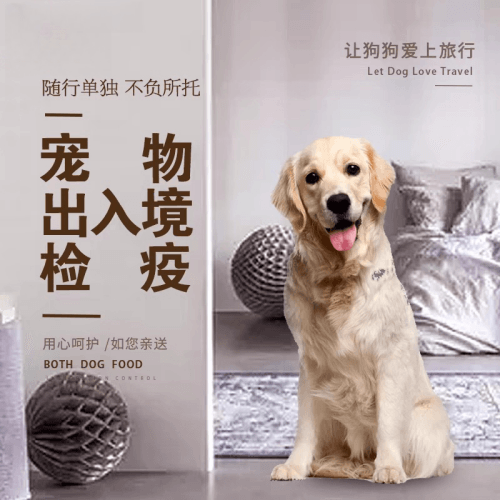石景山区宠物托运到哥伦比亚猫狗宠物入境规定和
