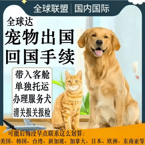 石景山区宠物托运到柬埔寨宠物入境规定和要求