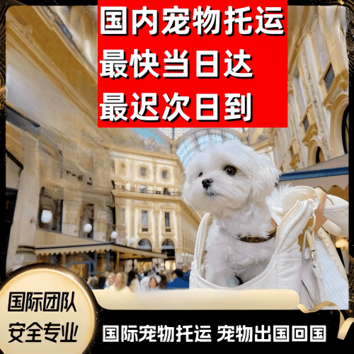 石景山区到澳大利亚（澳洲）宠物入境规定和要求