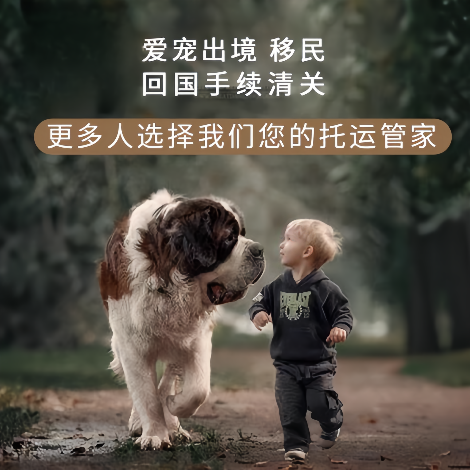 满财石景山区宠物全球达宠物托运在遵守入境目的地政策的条件