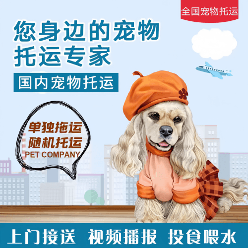 满财石景山区宠物全球达宠物托运作为专业的宠物运输代理机构